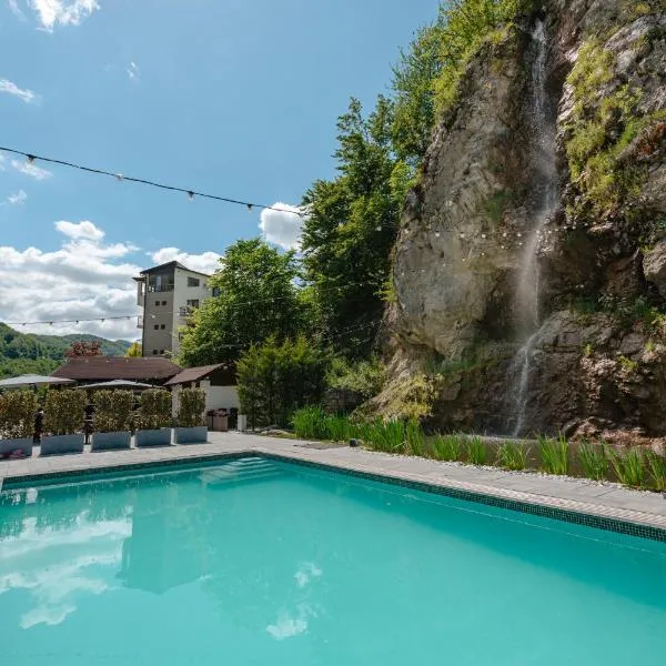 Pensiunea Apuseni Wild, hotel v destinaci Remeţi