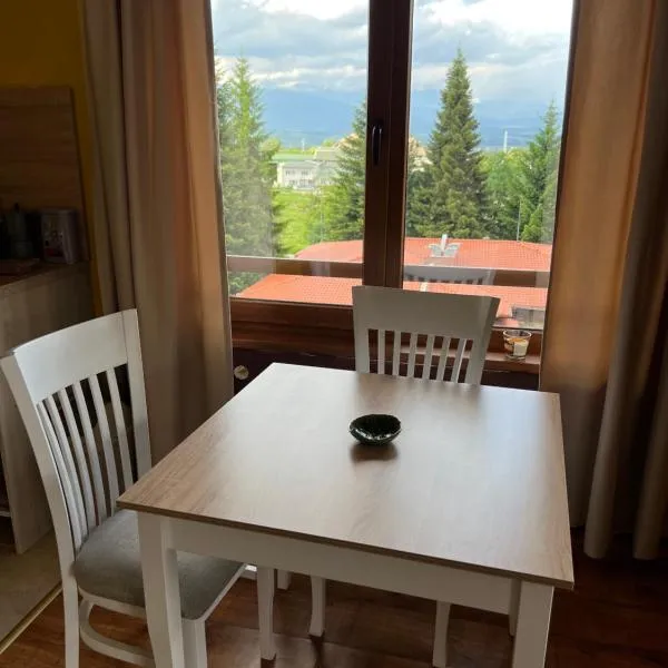 Роси Студио Банско, hotel in Bansko