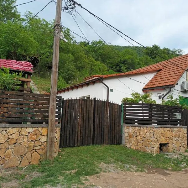 Andrei, hotel din Sasca Montană