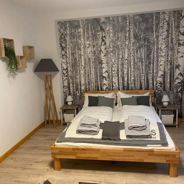 Forest Apartment-Forest Escape Menzenschwand, hotel v destinaci St. Blasien