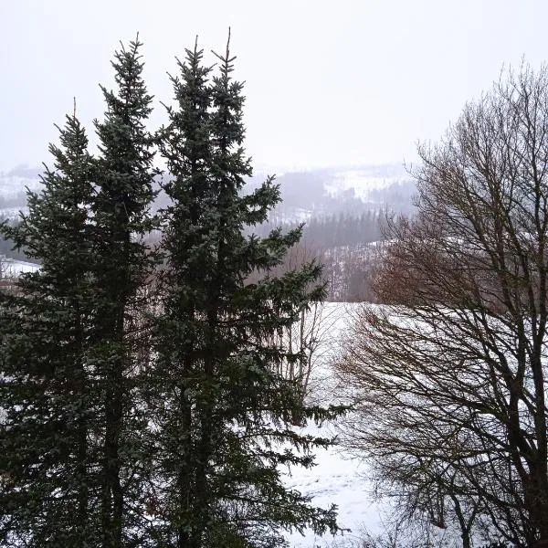 Ferienwohnung Merlina WLAN-Wandern-Radfahren-Motoradurlaub, hotel in Braunlage