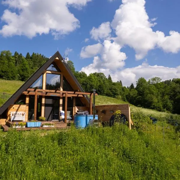 Bieszczadzka Samotnia, hotel in Cisna