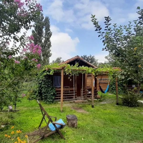 Tiny houses Genacvale, ξενοδοχείο σε Abasha