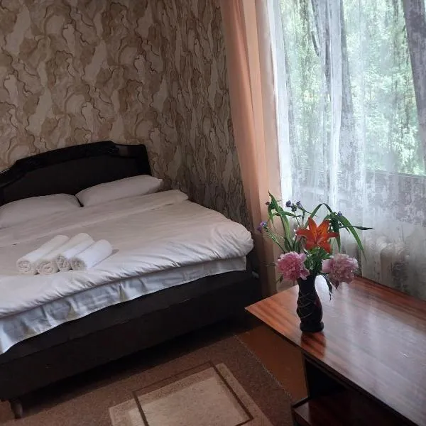GALA Guesthouse, hotel in Alaverdi
