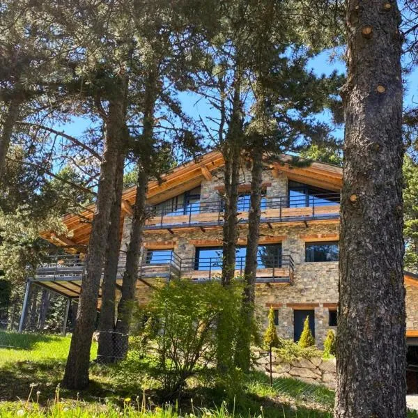 Chalet Husky , Familliale, Calme, Spatieux, hotel in Bolquere Pyrenees 2000