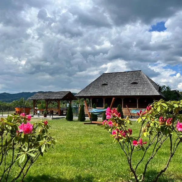 Casa Eli, hotel in Vişeu de Sus