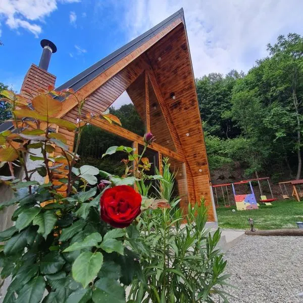 Cabana AFrame Olanesti, hotel en Băile Olăneşti