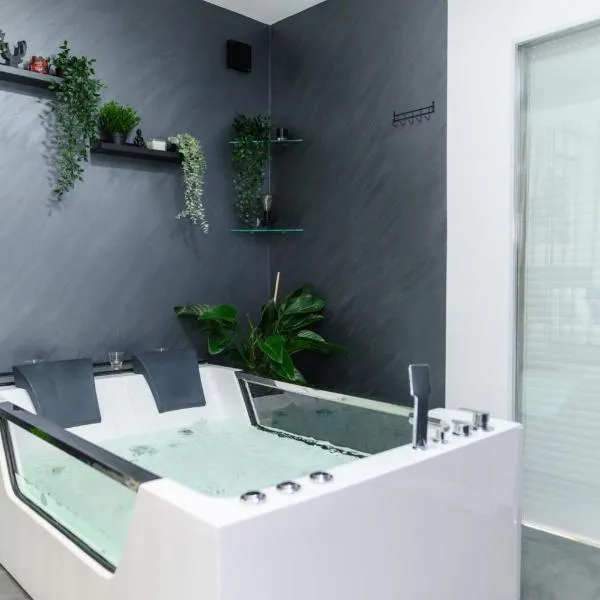 SPA apartman i sobe Tomin, hotel v destinaci Soko Banja