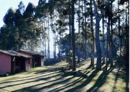 Pousada Três Orelhas - Gonçalves MG - Foto 5