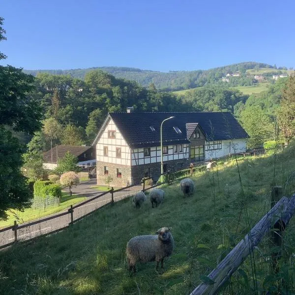 Berg Blick Eifler Bauernhaus modern restauriert, hotel in Simmerath