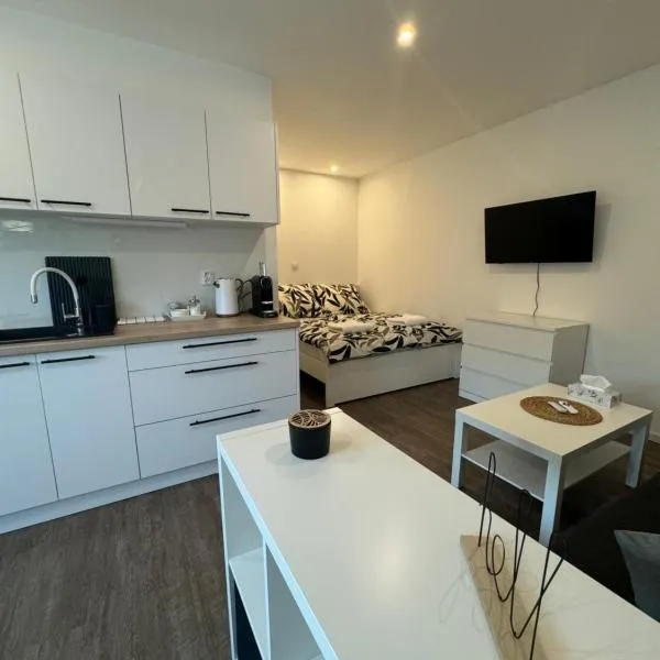 RK Apartment Brno, hotel v destinaci Brno