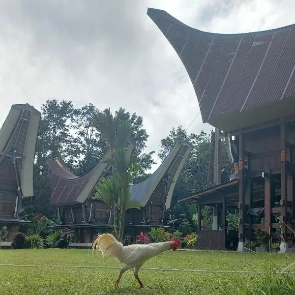 Toraja Homestay & Coffee Bunna, hotel in Rantepao