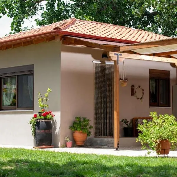 Nerium - Golden Fig Sykia lodge, Hotel in Paralia Sikias