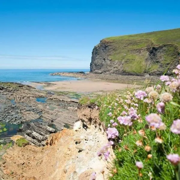 Bantry Cottage at Crackington Haven, near Bude and Boscastle, Cornwall, hotel v destinaci Bude