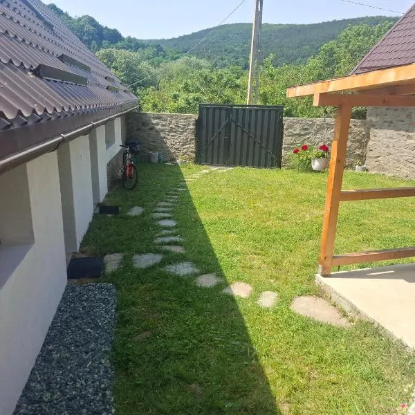 Casa nouă, hotel in Sasca Montană