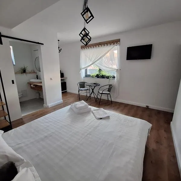 Casa de Caramida, khách sạn ở Braşov