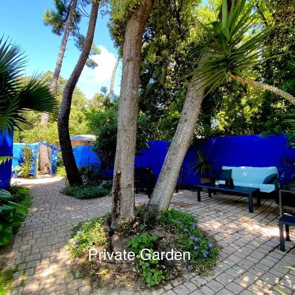 Studio with beautiful private garden on the forest in Domino, hotell i Les Sables Vignier