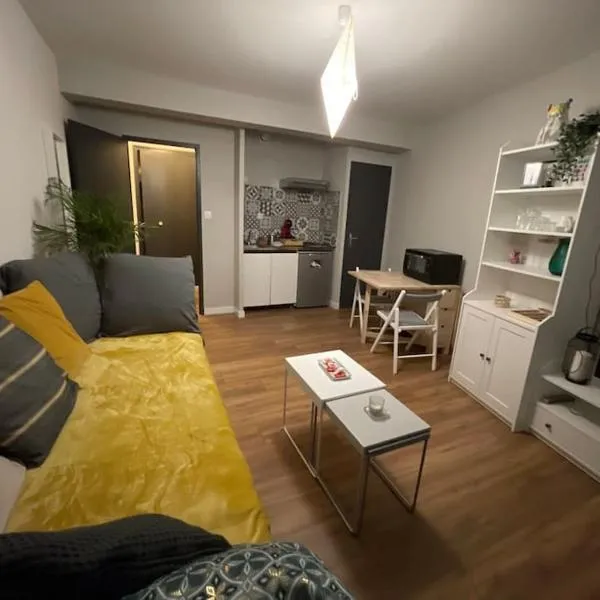 Saint-Girons, charmant studio en plein centre – hotel w mieście Saint-Girons