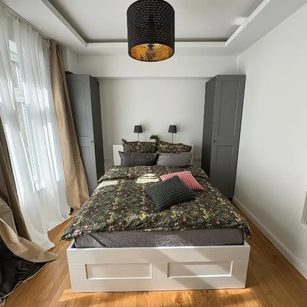 Boutique Hotel Pension Luisengrün Küche 1Gbs WLAN Netflix Disney MagentaTV, hotel v destinaci Chemnitz