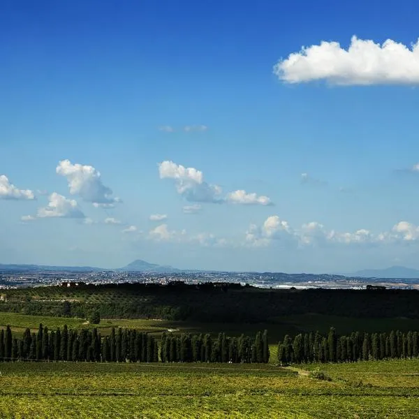 Merumalia Wine Resort, hotel v destinaci Frascati