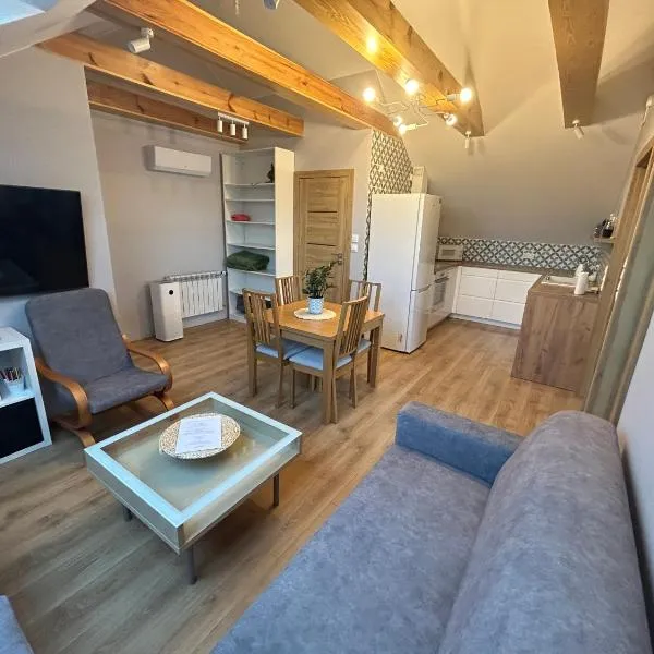 Apartament_Zbąszyń, готель у місті Zbąszynek