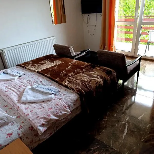 Apartments Nebojša, готель у місті Сокобаня