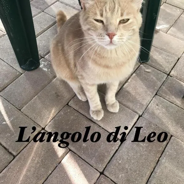 L'Angolo di Leo โรงแรมในBorgofranco dʼIvrea