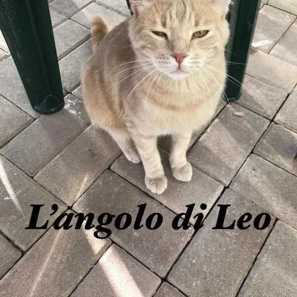 L'Angolo di Leo, hotel v destinaci Borgofranco dʼIvrea