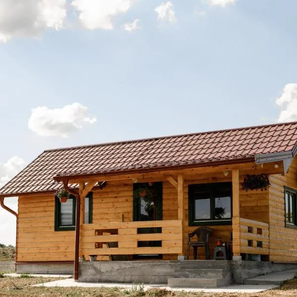 Brvnara Staničić, hotel v destinaci Aranđelovac