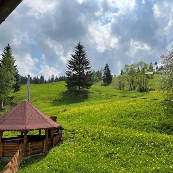 Casa Aurelia, hotel en Moldoviţa