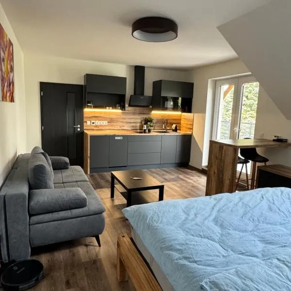 ApartmányVrbno Relax, hotel v destinaci Bruntál