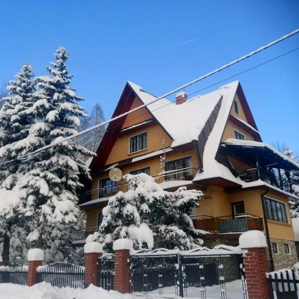 Apartament w górach w Beskidzie Żywieckim gmina Koszarawa、Huciskoのホテル