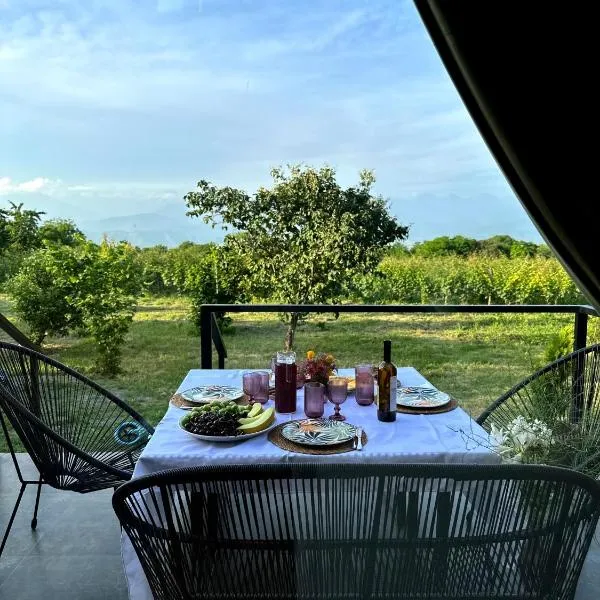Villa Tsinandali, hotel a Tsinandali