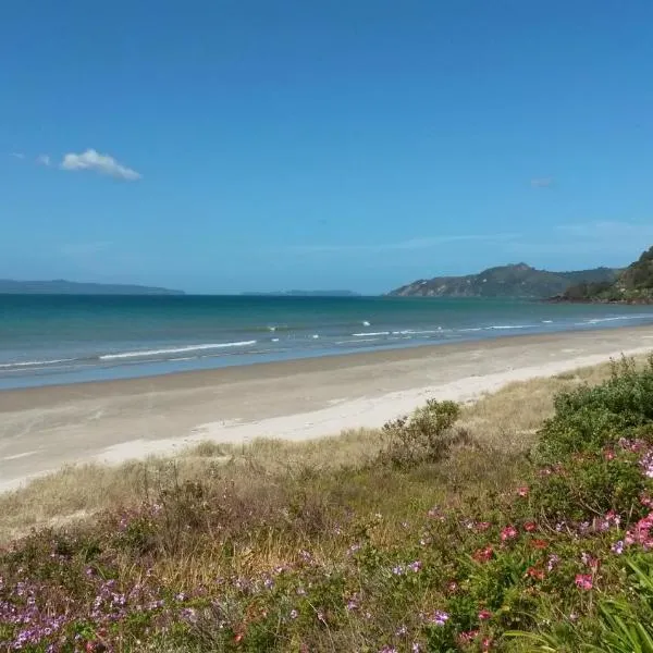 Waimaire Matarangi, hotel v destinaci Matarangi