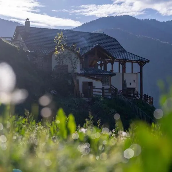 Alpin Zeneli Chalet, hotel a Çerem