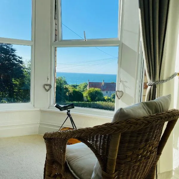 Ocean Terrace, Ilfracombe, 4 bedrooms, Sleeps 8, Stunning Sea Views, Parking, Garden, Pet Friendly，位于伊尔弗勒科姆的酒店