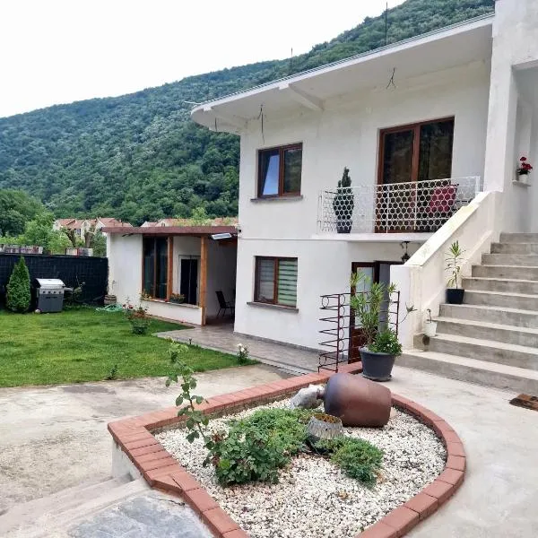 Renate House, hotel v destinaci Băile Herculane