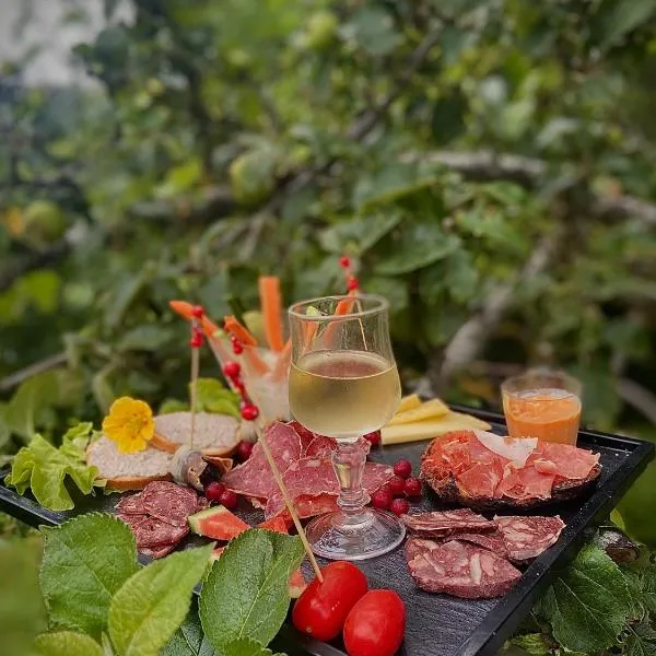 Ferme-auberge le cochon du Madres, отель в городе Bessède-de-Sault