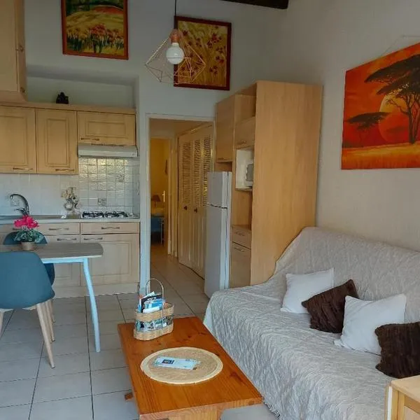 Cap d'Agde, appartement bord de mer, 50 m plage de la Roquille, climatisé et WIFI,, hotel v destinaci Cap d'Agde