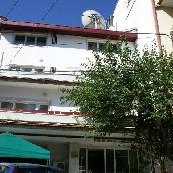 Pensiunea Helvetia, hotel en Bucarest