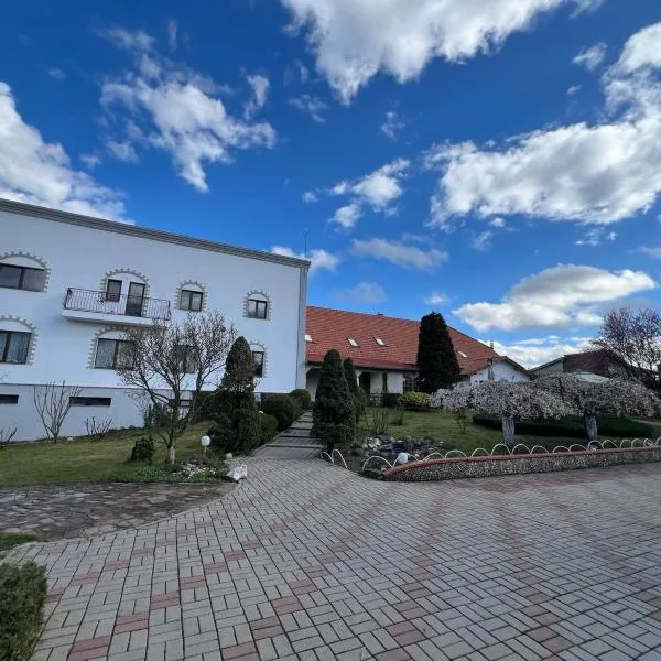 Colina Restaurant & Events, hotell sihtkohas Bistriţa