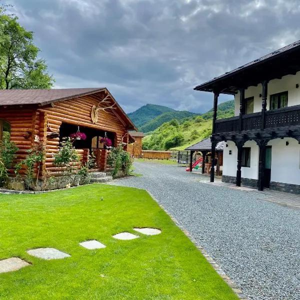 Pensiunea Suci, hôtel à Botiza