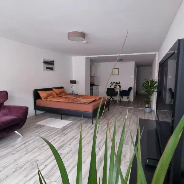 Studio- Gemütlich, Charmant, Zentral, Hotel in Landsberg am Lech