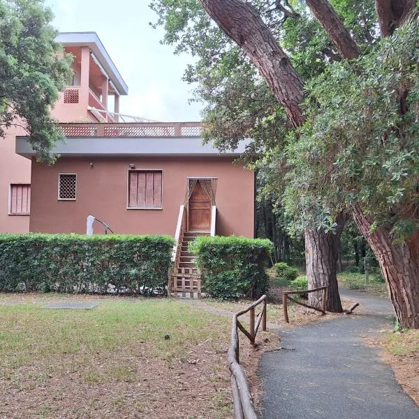 Anna Costa degli Etruschi, hotel in San Vincenzo