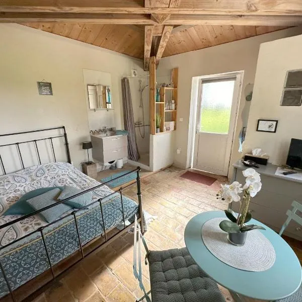 Maisonnette indépendante au calme dans un grand jardin – hotel w mieście Châteauneuf-du-Rhône