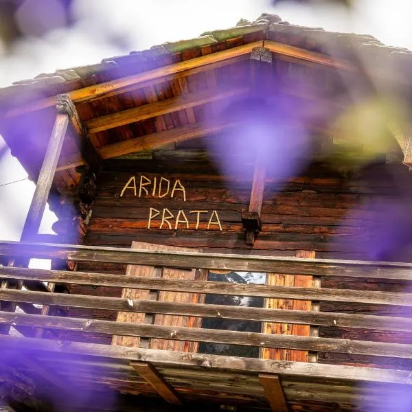 korn-stadel ARIDA PRATA "natur pur", hotel v destinaci Grächen