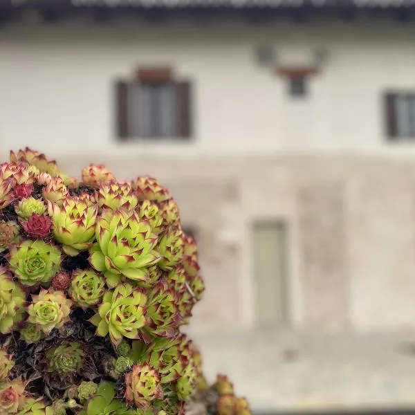 Cascina Mabette, hotel v destinácii Farigliano