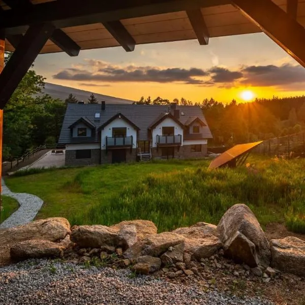 Rezydencja Borowice, hotel en Borowice