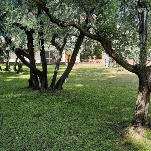 La Teodolinda, hotel v destinaci Arezzo