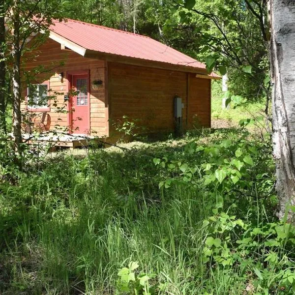 Birch Cabin, hotel v destinaci Talkeetna